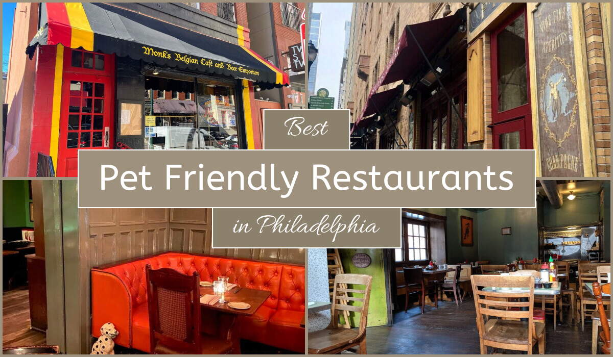 Best Pet Friendly Restaurants In Philadelphia