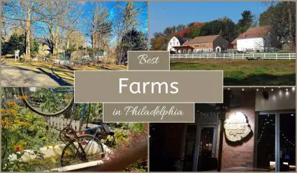 Best Farms In Philadelphia